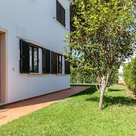 Akisol Olhos De Agua Pine Ii *